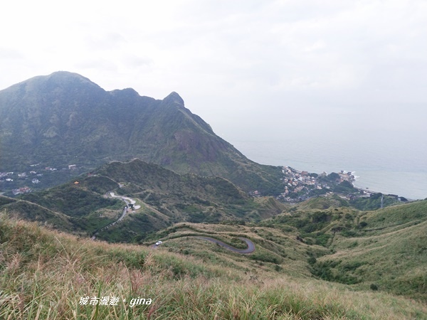 IMG_20181110_150408.jpg IMG_20181110_150408.jpg