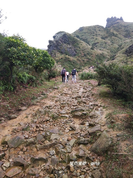 IMG_20181110_151139.jpg IMG_20181110_151139.jpg