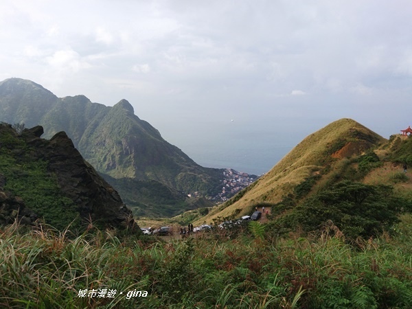 IMG_20181110_151412.jpg IMG_20181110_151412.jpg