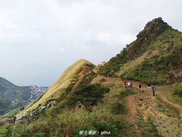 IMG_20181110_151415.jpg IMG_20181110_151415.jpg