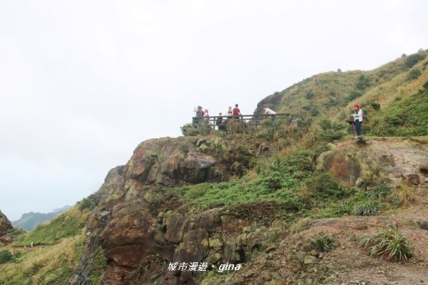 IMG_20181110_151529.JPG IMG_20181110_151529.JPG