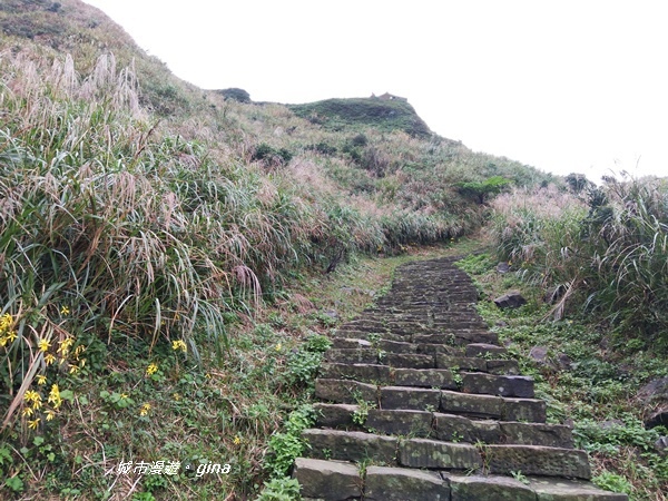 IMG_20181110_153201.jpg IMG_20181110_153201.jpg