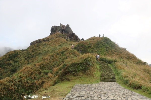 IMG_20181110_153611.JPG IMG_20181110_153611.JPG