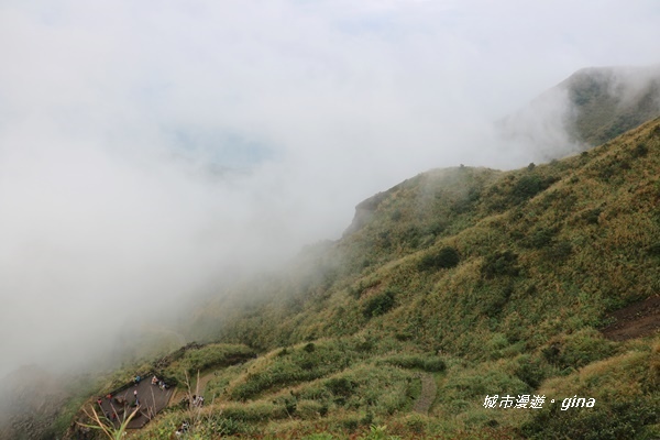 IMG_20181110_153612.JPG IMG_20181110_153612.JPG