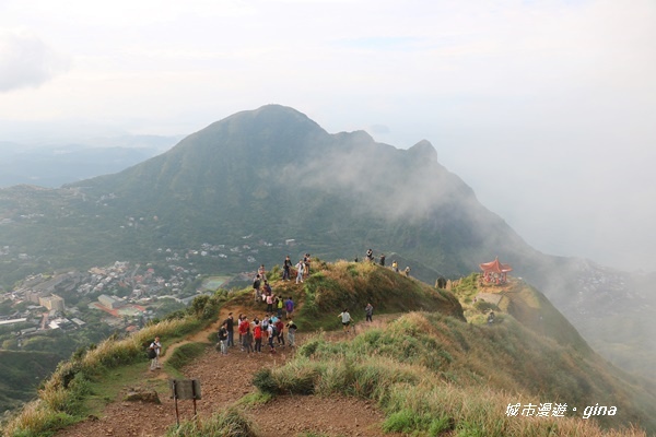 IMG_20181110_155525.JPG IMG_20181110_155525.JPG