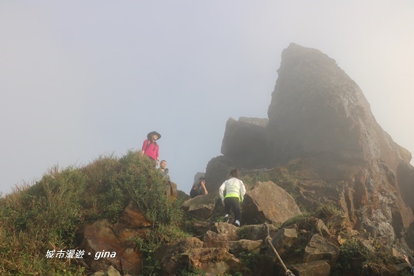 IMG_20181110_155526.JPG IMG_20181110_155526.JPG