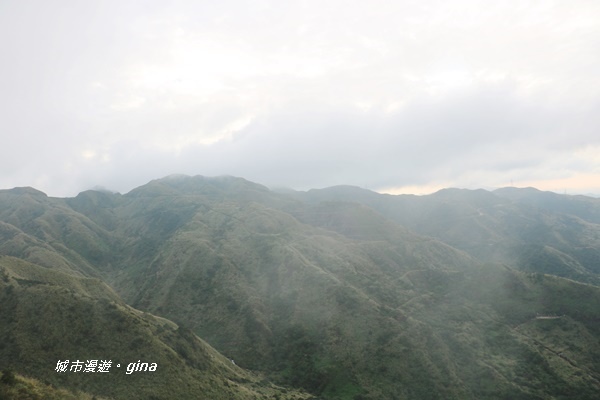 IMG_20181110_155532.JPG IMG_20181110_155532.JPG