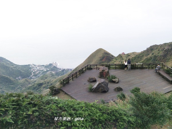 IMG_20181110_162328.jpg IMG_20181110_162328.jpg