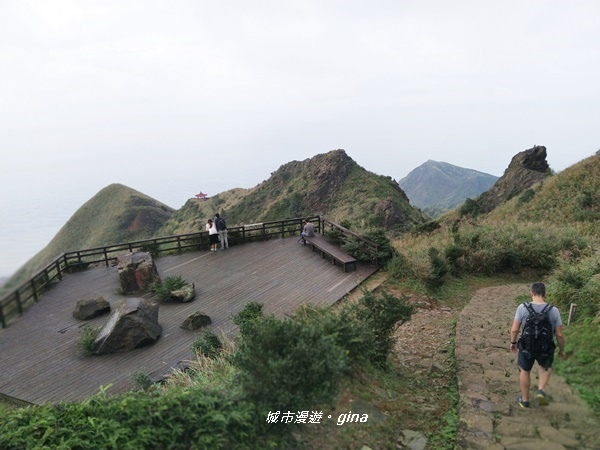 IMG_20181110_162333.jpg IMG_20181110_162333.jpg