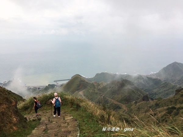 IMG_20181110_162334.jpg IMG_20181110_162334.jpg