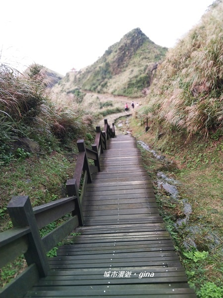 IMG_20181110_162600.jpg IMG_20181110_162600.jpg