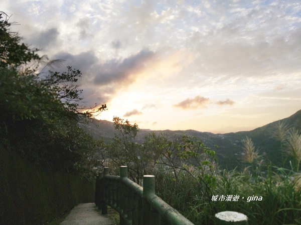 IMG_20181110_165620.jpg IMG_20181110_165620.jpg