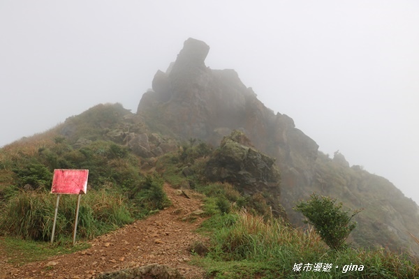 IMG_20181110_170316.JPG IMG_20181110_170316.JPG