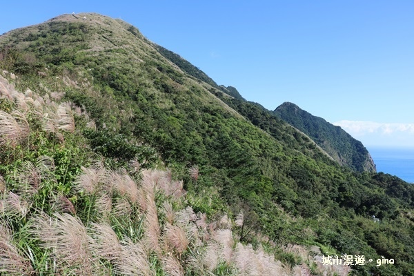 【新北瑞芳】360度絕佳展望盡收眼簾。 No6小百岳~雞籠山