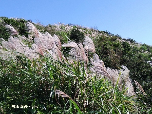 【新北瑞芳】360度絕佳展望盡收眼簾。 No6小百岳~雞籠山