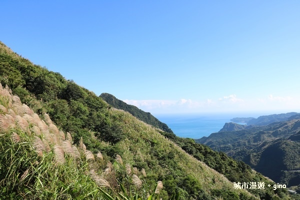 【新北瑞芳】360度絕佳展望盡收眼簾。 No6小百岳~雞籠山