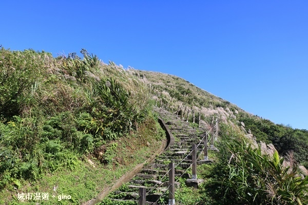 【新北瑞芳】360度絕佳展望盡收眼簾。 No6小百岳~雞籠山