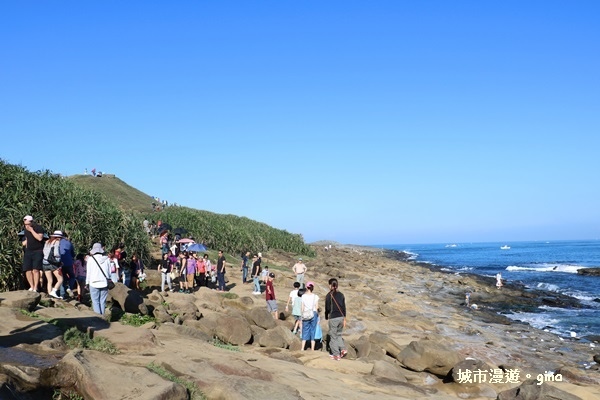 IMG_8836.JPG IMG_8836.JPG