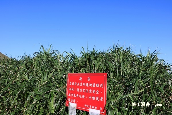 IMG_8840.JPG IMG_8840.JPG