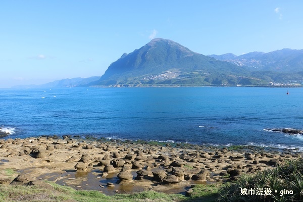 IMG_8842.JPG IMG_8842.JPG