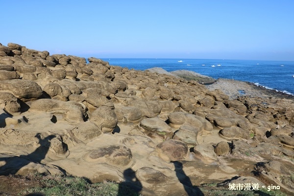 IMG_8844.JPG IMG_8844.JPG