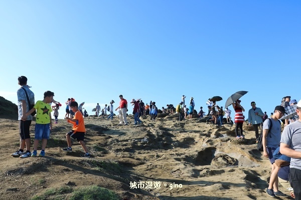 IMG_8845.JPG IMG_8845.JPG