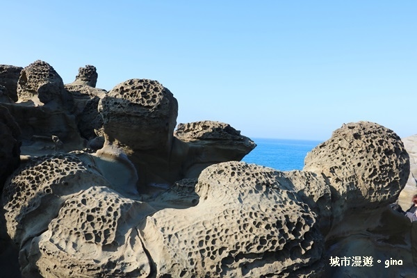 IMG_8862.JPG IMG_8862.JPG