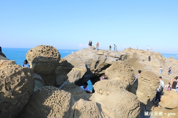 IMG_8863.JPG IMG_8863.JPG