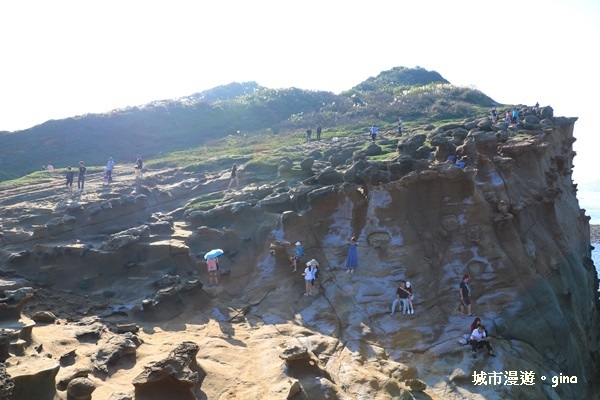 IMG_8868.JPG IMG_8868.JPG