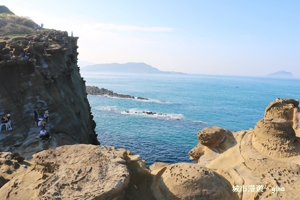 IMG_8869.JPG IMG_8869.JPG