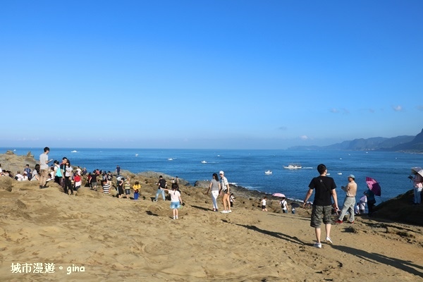 IMG_8874.JPG IMG_8874.JPG