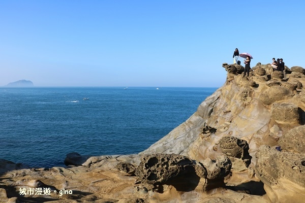 IMG_8880.JPG IMG_8880.JPG