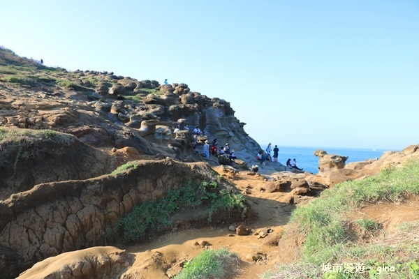 IMG_8883.JPG IMG_8883.JPG