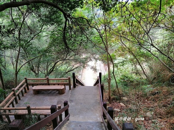 IMG_20181125_093953.jpg IMG_20181125_093953.jpg