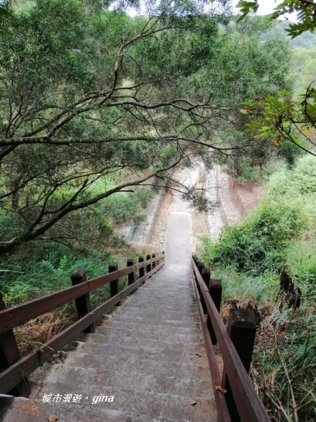 IMG_20181125_094010.jpg IMG_20181125_094010.jpg