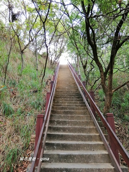 IMG_20181125_094021.jpg IMG_20181125_094021.jpg