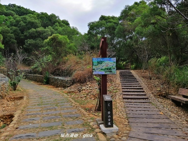 IMG_20181125_094236.jpg IMG_20181125_094236.jpg