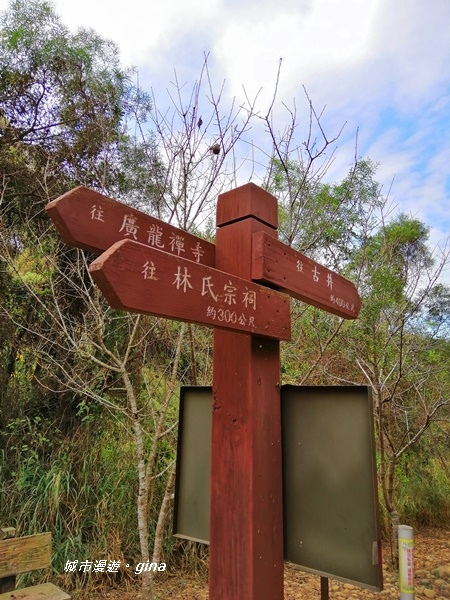 IMG_20181125_094157.jpg IMG_20181125_094157.jpg