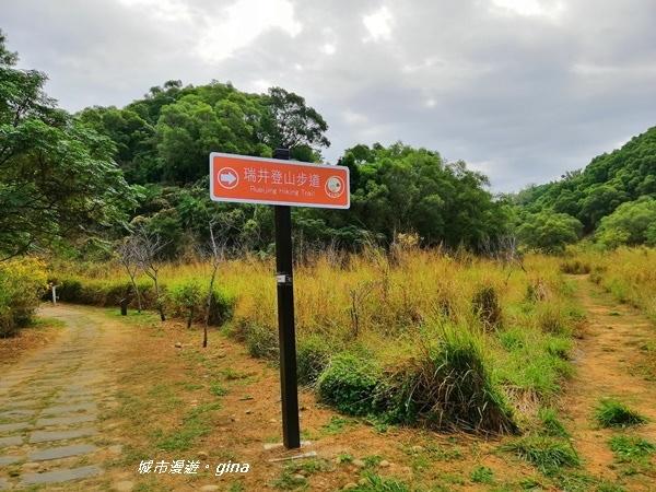 IMG_20181125_094414.jpg IMG_20181125_094414.jpg