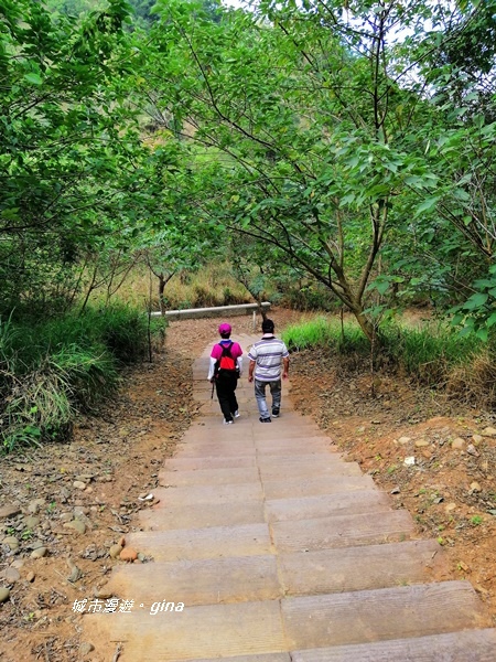 IMG_20181125_094600.jpg IMG_20181125_094600.jpg