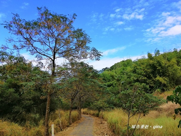 IMG_20181125_094811.jpg IMG_20181125_094811.jpg