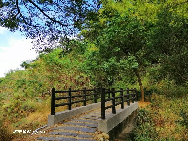 IMG_20181125_095100.jpg IMG_20181125_095100.jpg