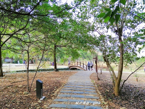 IMG_20181125_095411.jpg IMG_20181125_095411.jpg