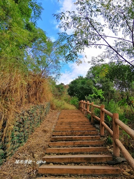 IMG_20181125_100038.jpg IMG_20181125_100038.jpg