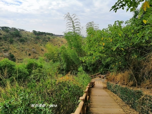 IMG_20181125_101752.jpg IMG_20181125_101752.jpg