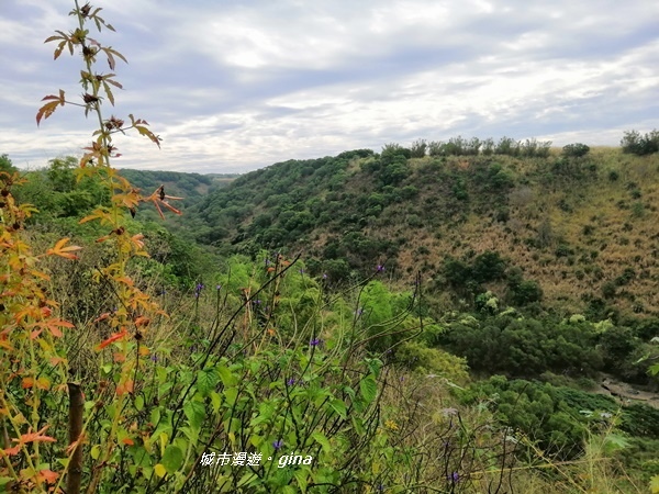 IMG_20181125_101815.jpg IMG_20181125_101815.jpg