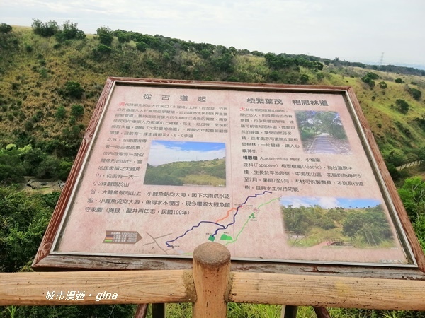 IMG_20181125_102016.jpg IMG_20181125_102016.jpg