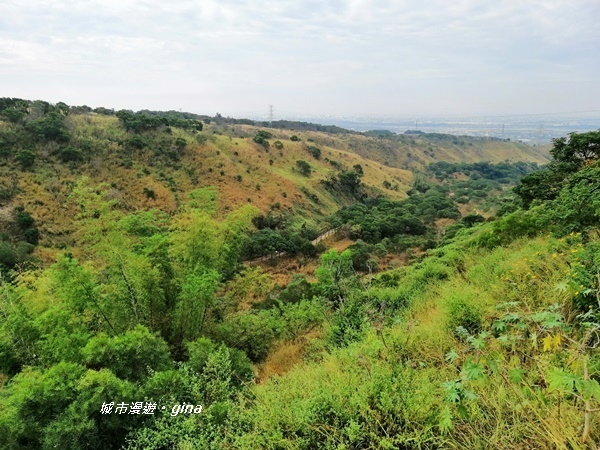 IMG_20181125_102030.jpg IMG_20181125_102030.jpg