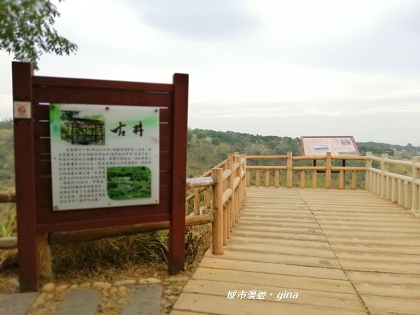 IMG_20181125_102031.jpg IMG_20181125_102031.jpg