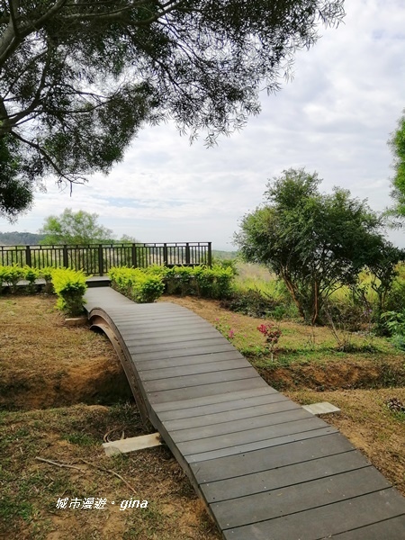 IMG_20181125_103135.jpg IMG_20181125_103135.jpg